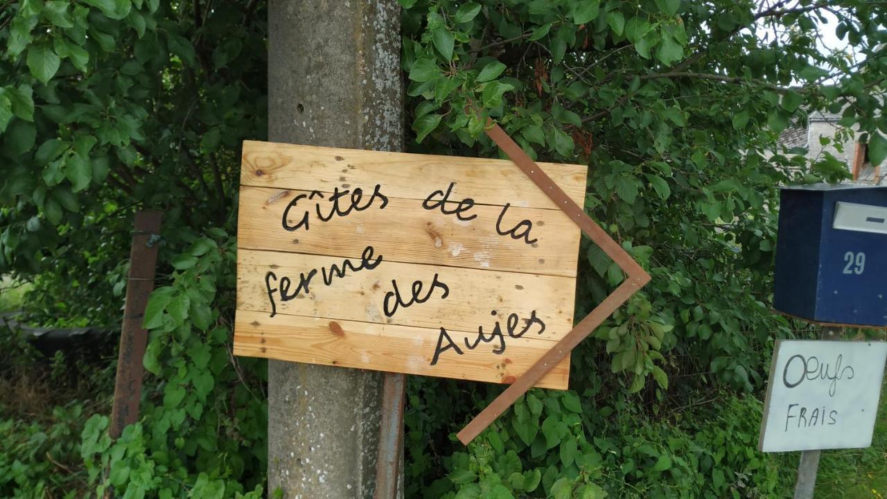 Gite Familial Ferme Des Aujes Falaen Onhaye Exterior photo