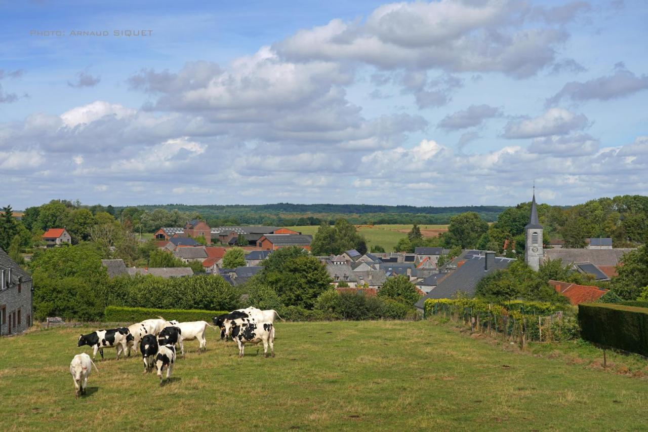 Gite Familial Ferme Des Aujes Falaen Onhaye Exterior photo
